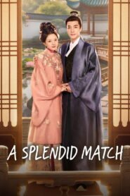 A Splendid Match